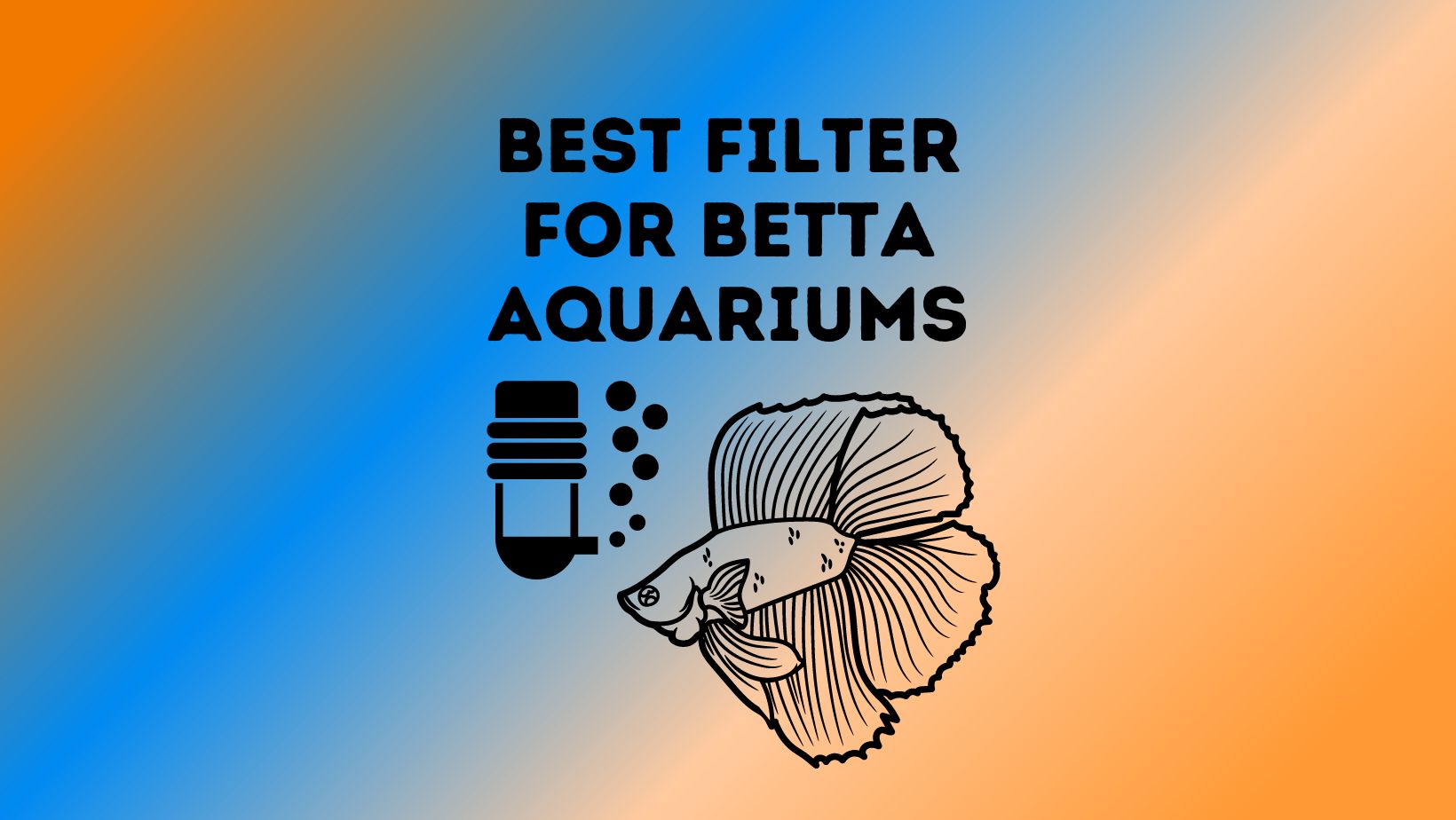 Best Filter For Betta Aquariums