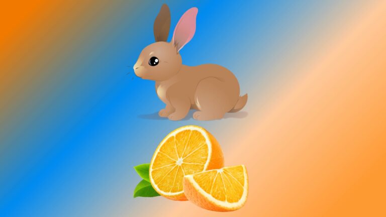 Can Rabbits Eat Oranges? Our Guide and Answers
