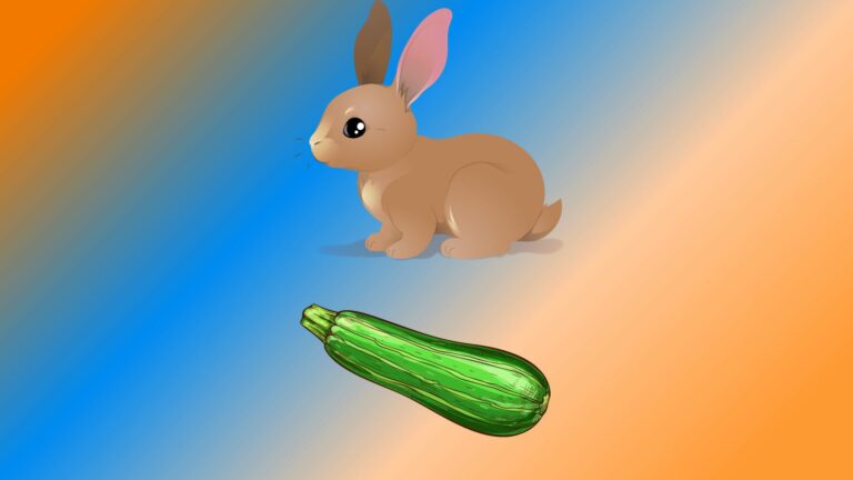Can Rabbits Eat Zucchini? Is It Safe?