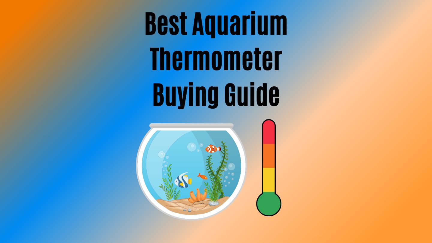 How To Choose Best Aquarium Thermometer