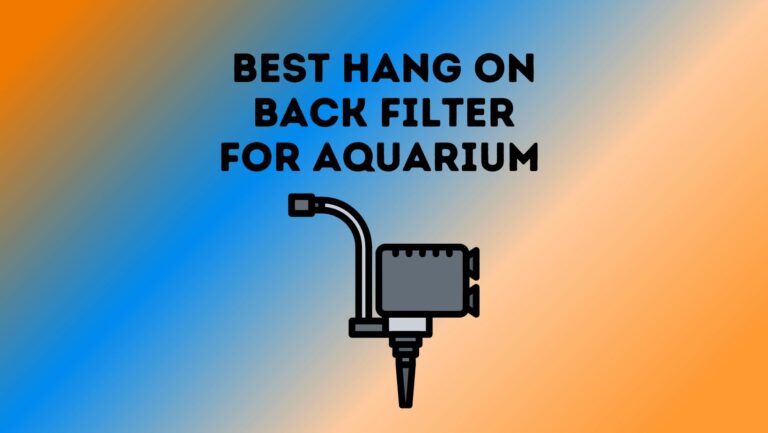 3 Best Hang On Back Filter for All Aquarium Sizes