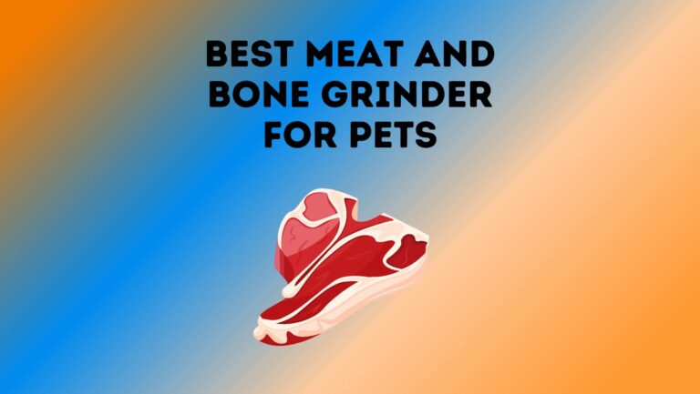 9 Best Meat and Bone Grinder For Pets