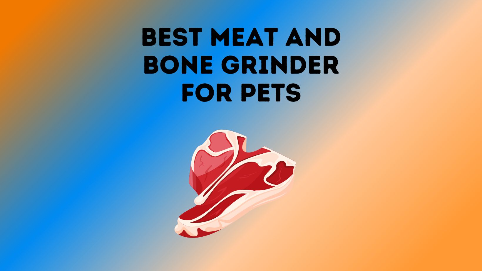 Best Meat and Bone Grinder