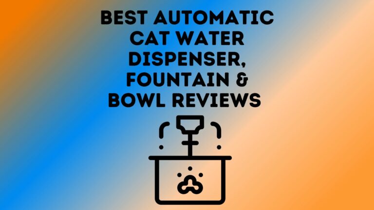 4 Best Automatic Cat Water Dispenser, Fountain & Bowl Reviews