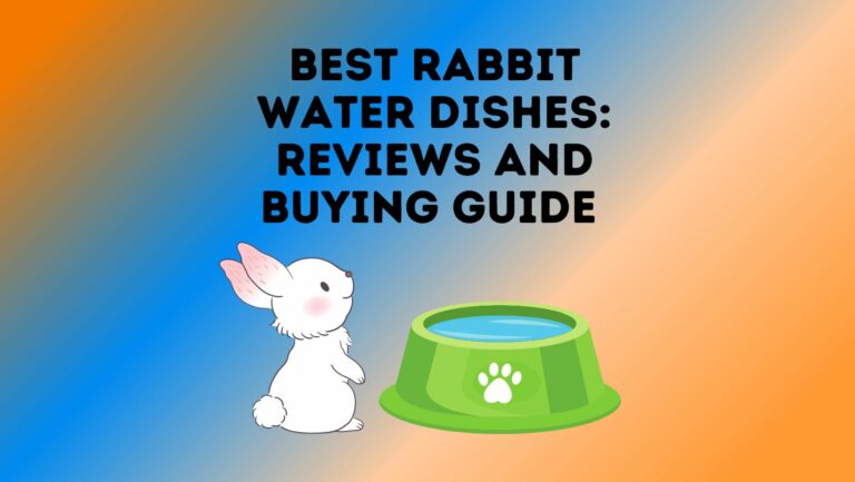 5 Best Rabbit Water Dishes: Reviews and Buying Guide