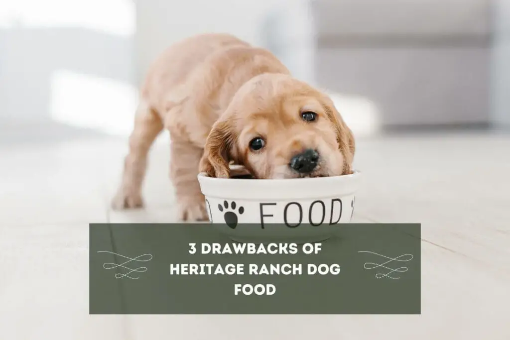 3 Drawbacks of Heritage Ranch Dog Food