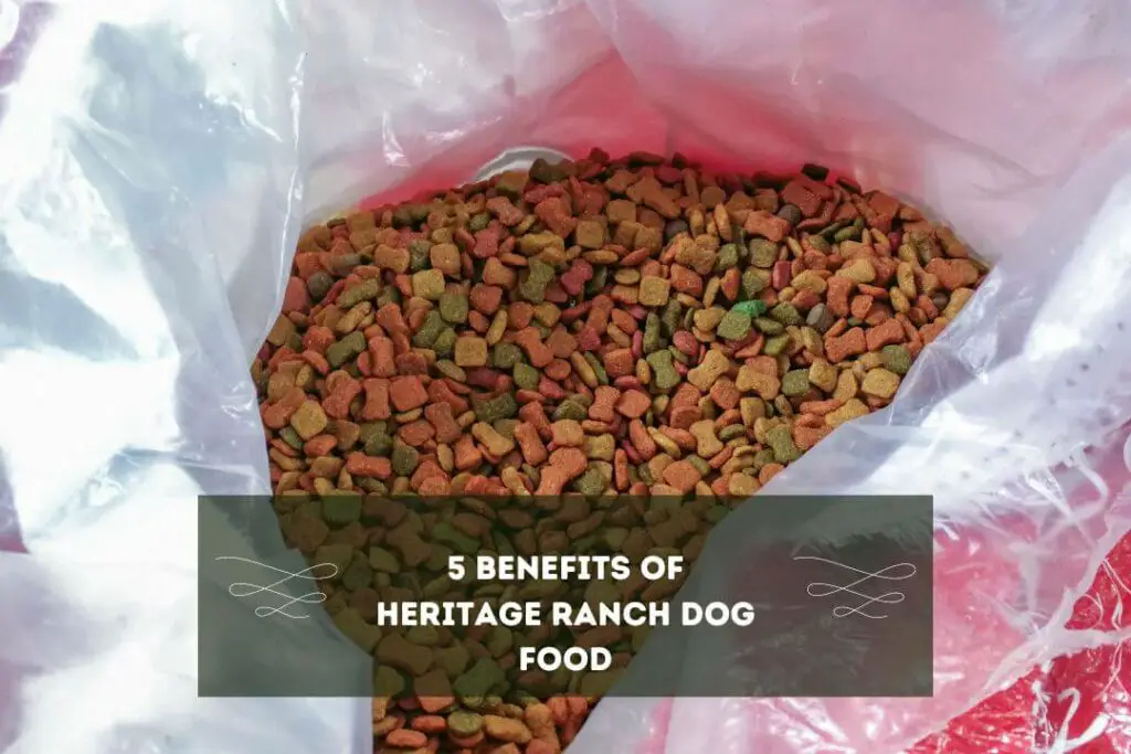Benefits of Heritage Ranch Dog Food