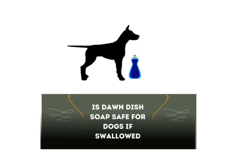 Is Dawn Dish Soap Safe for Dogs if Swallowed?