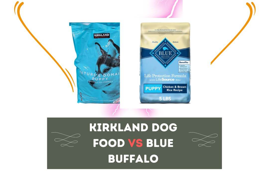 Kirkland Dog Food vs Blue Buffalo