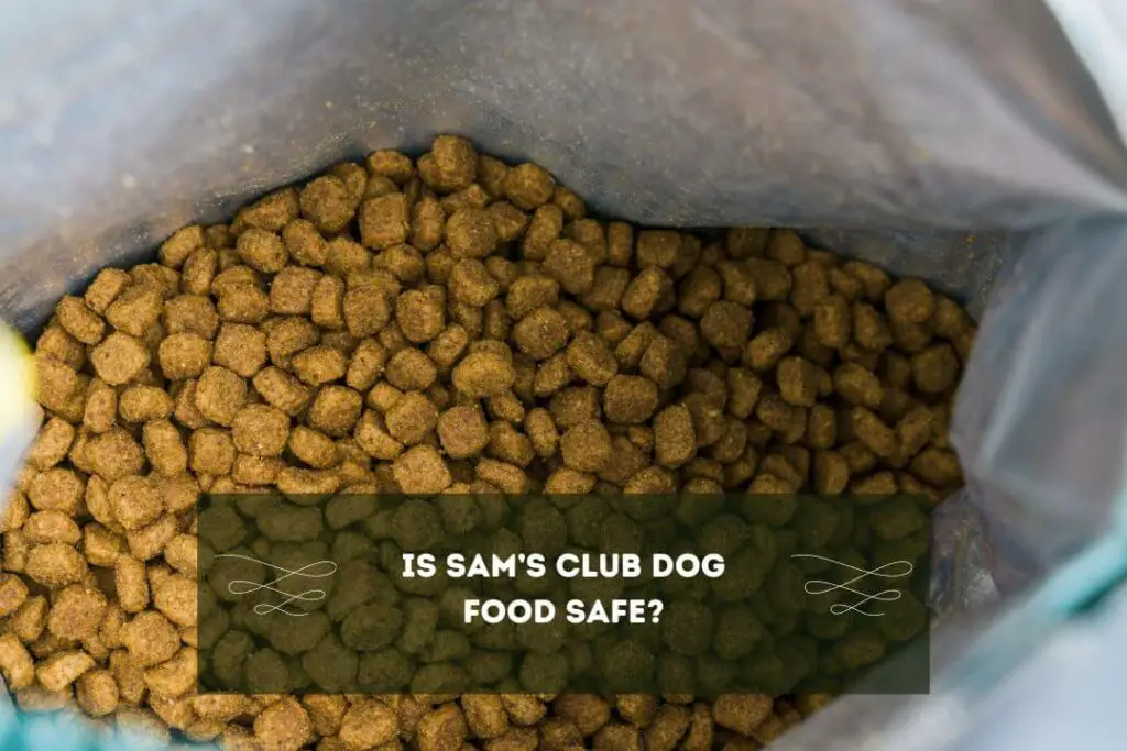 Is Sam's Club Dog Food Safe?