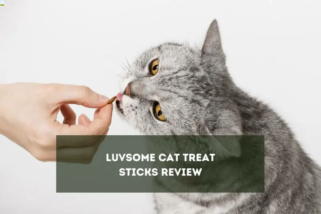 Luvsome Cat Treat Sticks Review