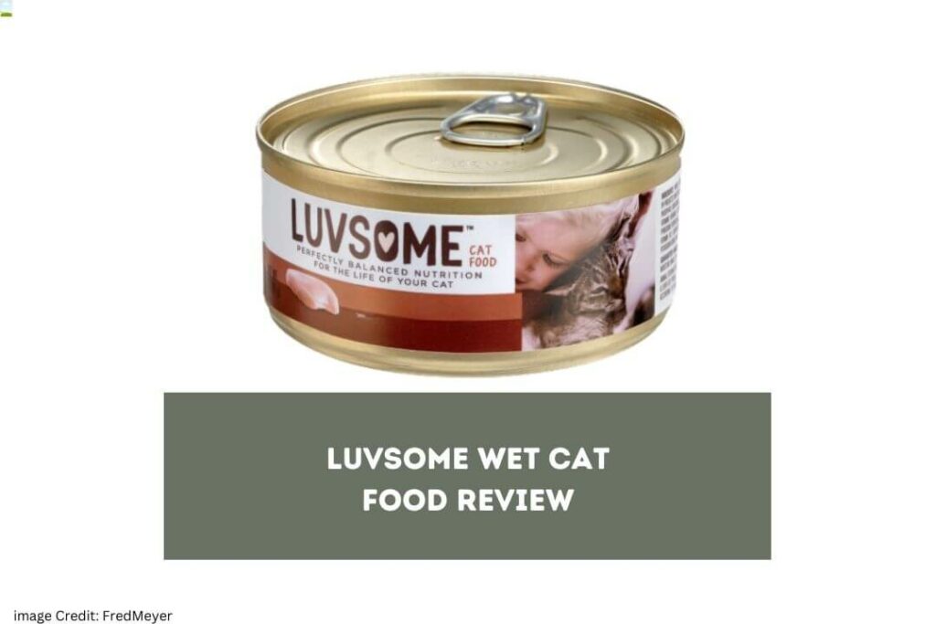 Luvsome Wet Cat Food Review