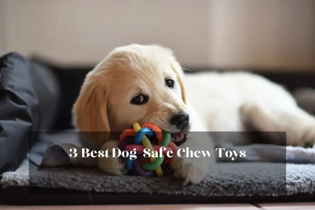 3 Best Dog-Safe Chew Toys